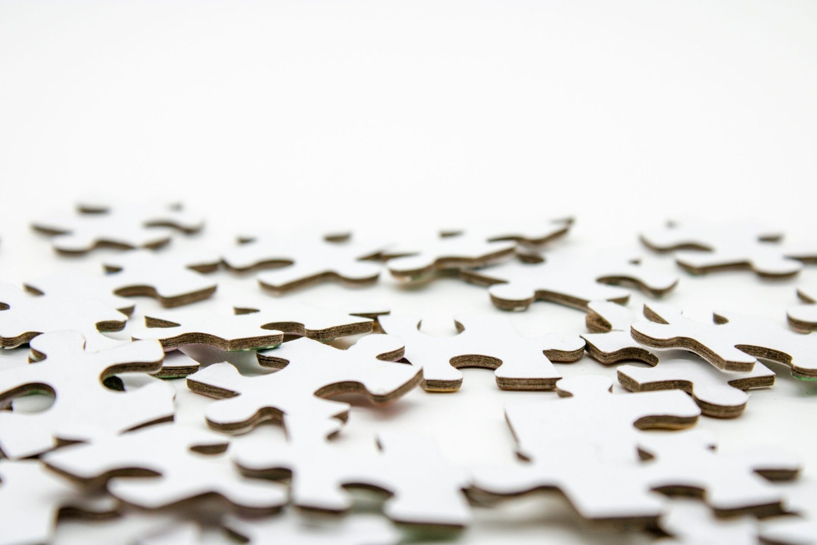 mel-poole-LuaT29bdjMA-unsplash What we do