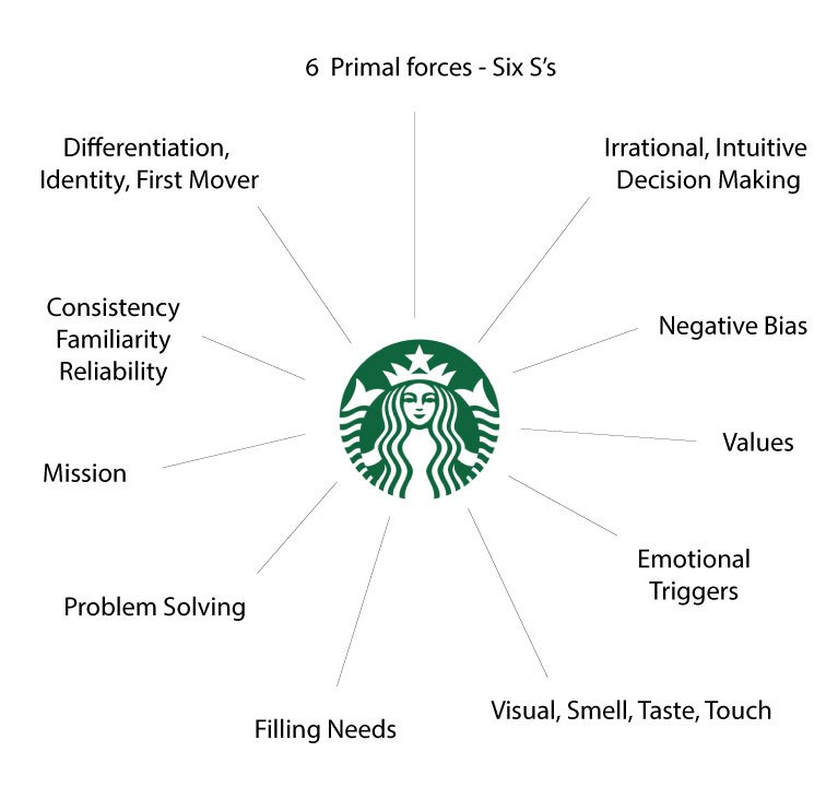Big-picture-Connection-to-brand-v2