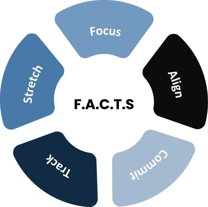 Facts-wheel-v2